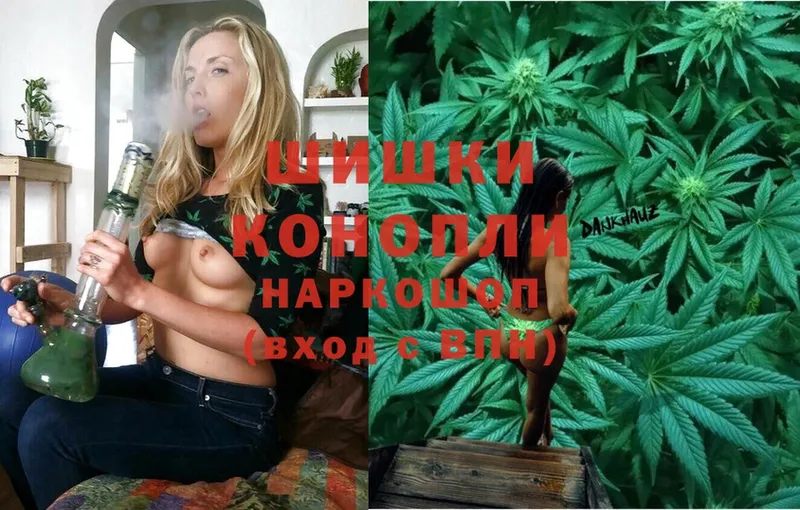 Каннабис White Widow  mega как войти  Приморско-Ахтарск 